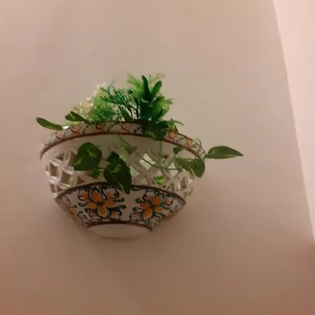 Casa vacanze Damiani House